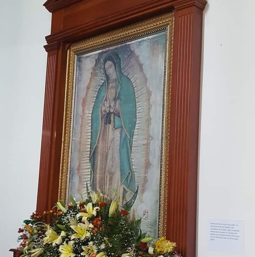 Meet your Posher, Cora